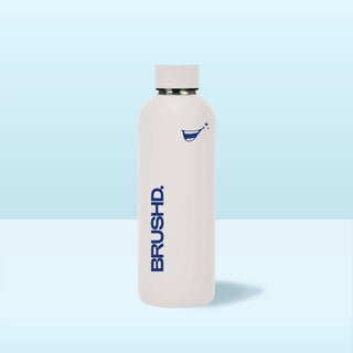 Stainless Steel Sport Bottle